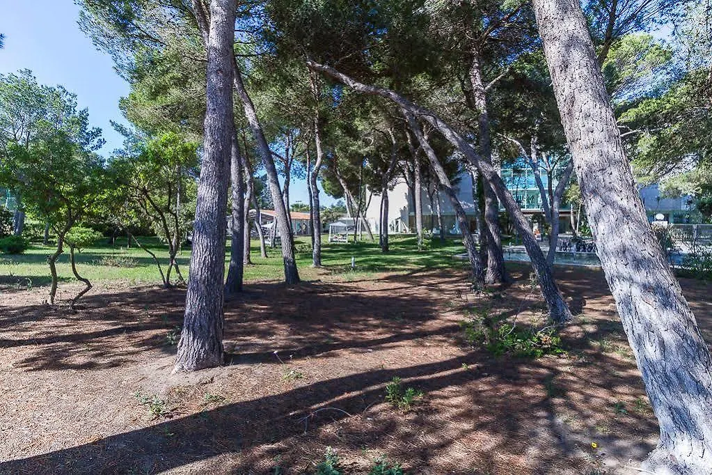 ****  Zafiro Alzina Mar (Adults Only) Hotel Can Picafort  Spain